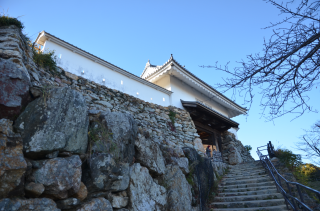 浜松城（曳馬城）の登城記録(まきゆきさん)