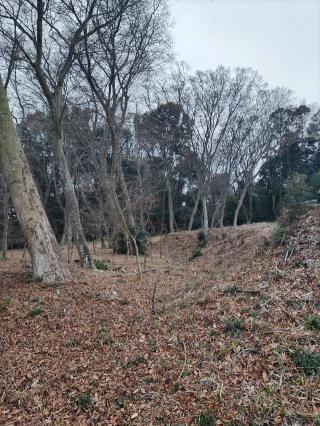 米本城の登城記録(マリリさん)