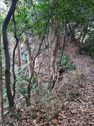 米本城の登城記録(マリリさん)