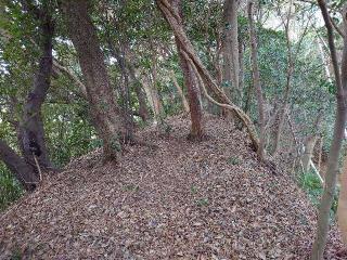 米本城の登城記録(りょうさん)