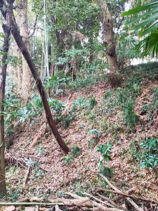 吉橋城の登城記録(マリリさん)