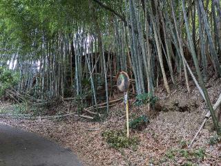 吉橋城の登城記録(たくあんさん)