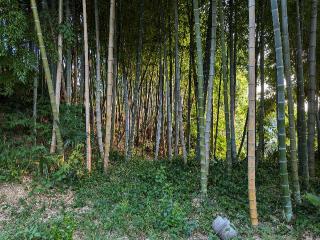 高津館の登城記録(たくあんさん)