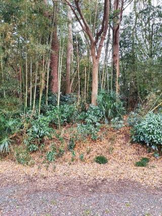 尾崎館の登城記録(マリリさん)