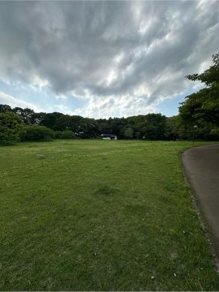 臼井城の登城記録(清正さん)