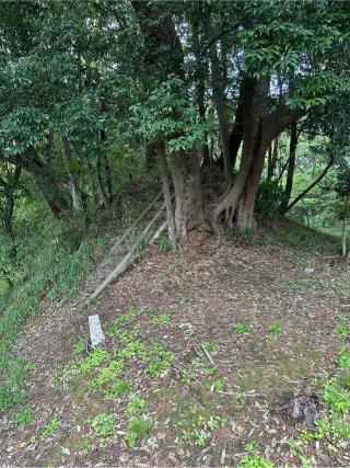 臼井城の登城記録(清正さん)