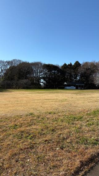 臼井城の登城記録(みねさん)