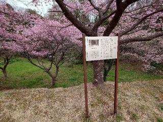 臼井城の登城記録(りょうさん)