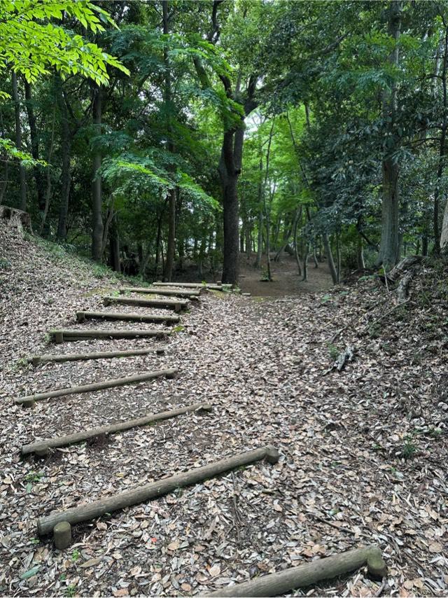 千葉県佐倉市城内町官有無番地 佐倉城の写真3