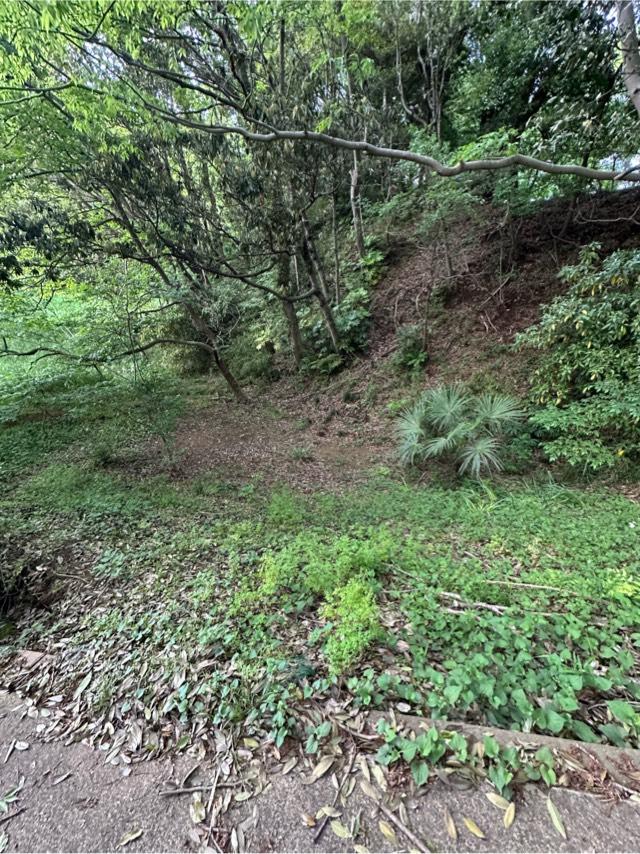 千葉県佐倉市城内町官有無番地 佐倉城の写真4