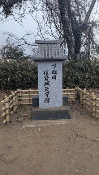 佐倉城の登城記録(にーぼーさん)