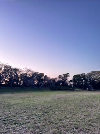 佐倉城の登城記録(りゆさん)