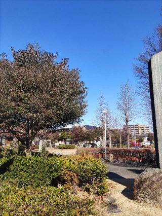 謙信一夜城（王子台砦）の登城記録(マリリさん)