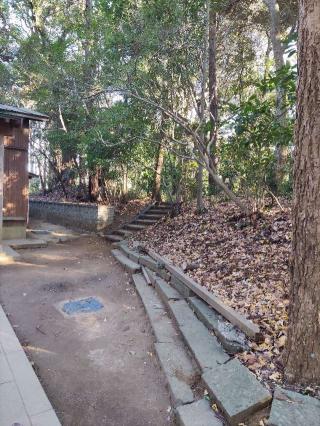 井野城の登城記録(マリリさん)