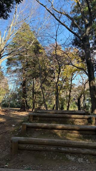 臼井田宿内砦の登城記録(みねさん)