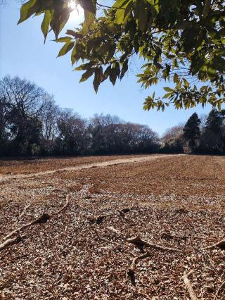 上峠城の登城記録(マリリさん)