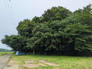 上峠城の登城記録(たくあんさん)