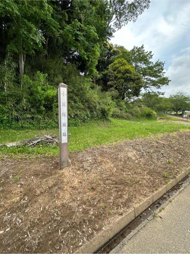 千葉県佐倉市小篠塚１４６−１ 小篠塚城の写真2