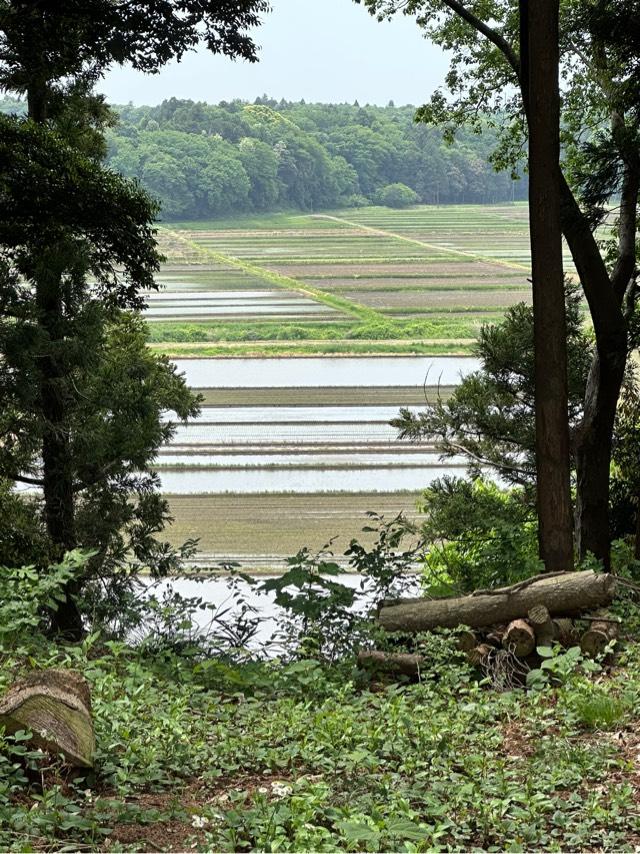 千葉県佐倉市小篠塚１４６−１ 小篠塚城の写真4