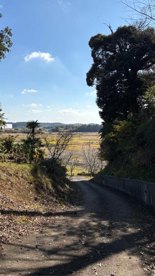 小篠塚城の登城記録(みねさん)