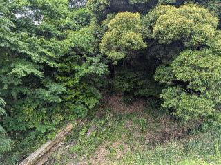 高岡城の登城記録(たくあんさん)