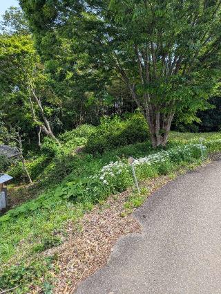 志津大口館の登城記録(たくあんさん)