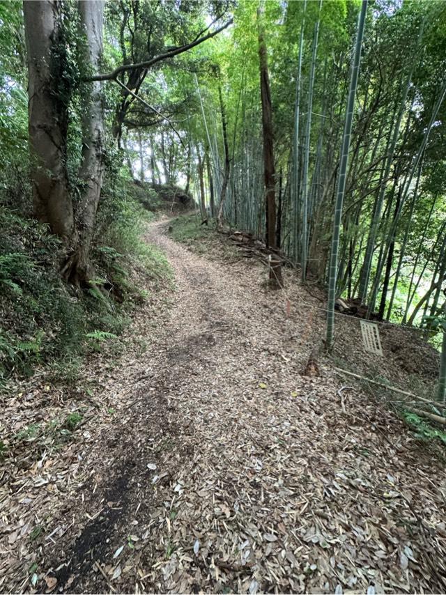 千葉県印旛郡酒々井町本佐倉７８１ 本佐倉城の写真4