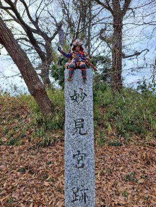 本佐倉城の登城記録(影武者さん)