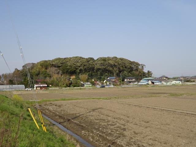 千葉県成田市長沼２１８９ 長沼城の写真1