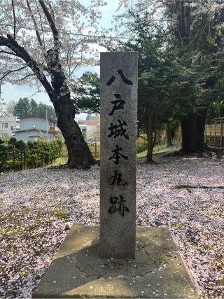 八戸城の登城記録(まるまるさん)