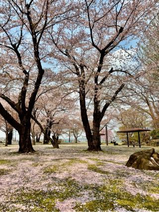 八戸城の登城記録(まるまるさん)