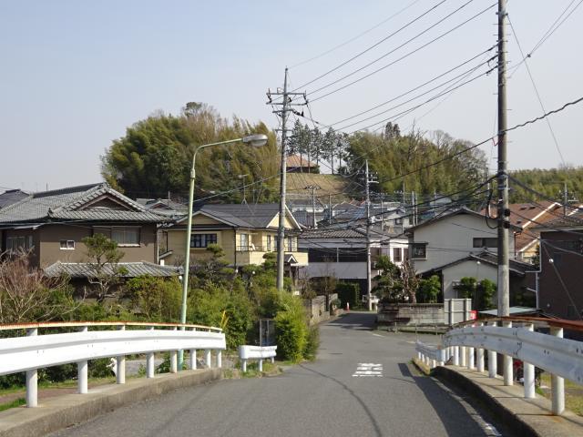 千葉県成田市東和田 東和田城の写真1