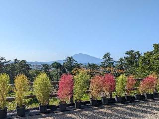 弘前城の登城記録(泰成さん)