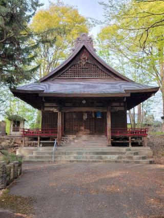 藤崎城の登城記録(ケムパパさん)