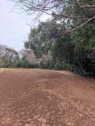 金堀城の登城記録(マリリさん)