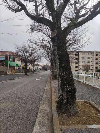 酒山砦の登城記録(マリリさん)