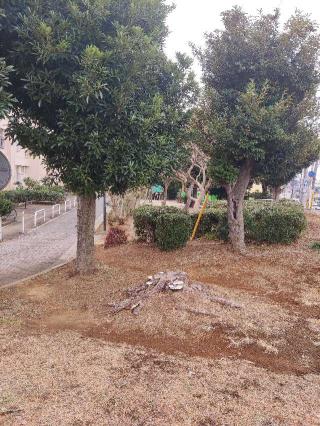 酒山砦の登城記録(マリリさん)