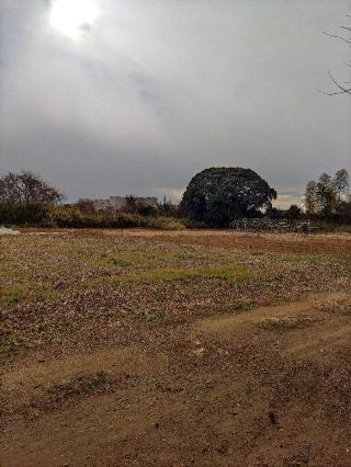 米ケ崎城の登城記録(マリリさん)