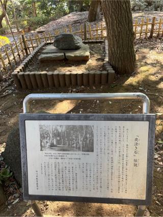 国府台城の登城記録(あっちゃんさん)