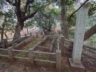 国府台城の登城記録(りょうさん)