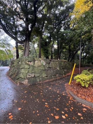 国府台城の登城記録(無極さん)