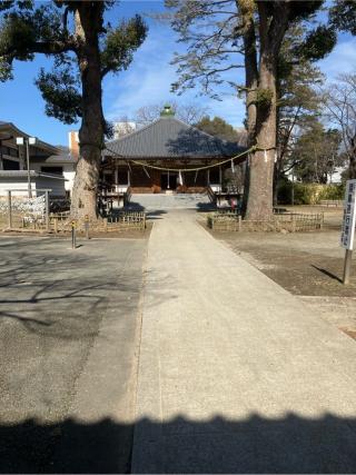 市川城の登城記録(監督さん)