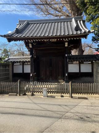 国分城（国分館）の登城記録(監督さん)