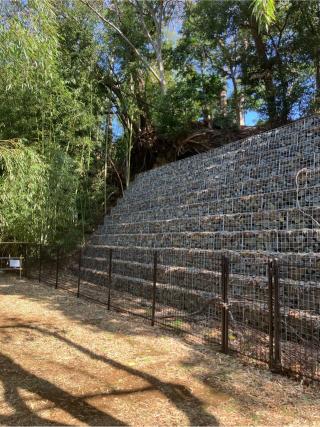 曽谷城の登城記録(監督さん)