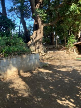 若宮館の登城記録(監督さん)