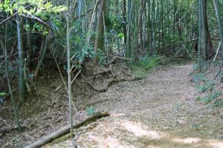 根戸城の登城記録(こにーさん)