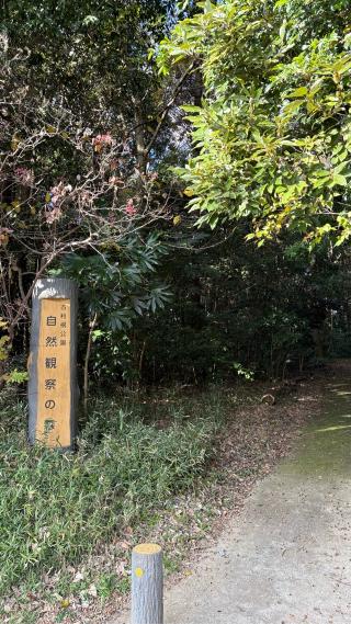 中峠城（芝原城）の登城記録(みねさん)