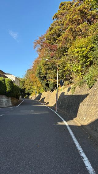 中峠城（芝原城）の登城記録(みねさん)