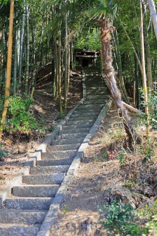 中峠城(芝原城)の登城記録(こにーさん)