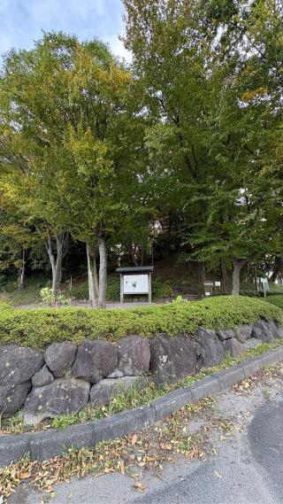 前ヶ崎城の登城記録(みねさん)